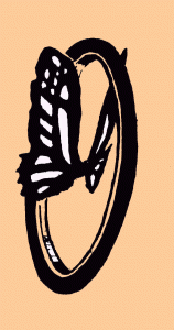 papillonlog11.gif